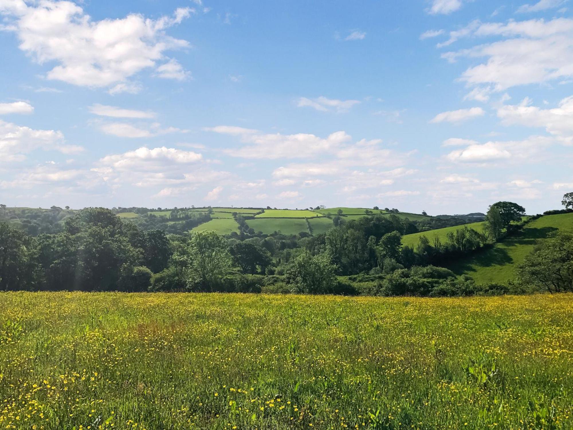 Ynywsen Dairy Flat Βίλα Llanfynydd Εξωτερικό φωτογραφία
